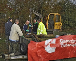 556609_267235386710433_520805446_n