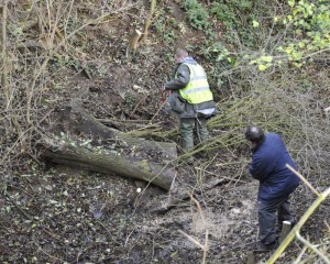 556609_267235393377099_1629173229_n