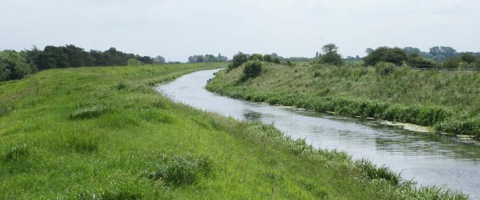 willowtreefen_riverglen_28jun12_rbw